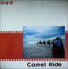 Camel_Ride_-_Therapy_Mthly_Journalling_-_August_2010_copy_28Medium29.jpg
