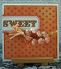 sweet_card.jpg