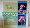 my_irises_scrap~0.jpg