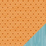 American Craft - Campy Trails Paper Series - Appleton Cove