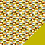 American Craft - Campy Trails Paper Series - Evergreen Point