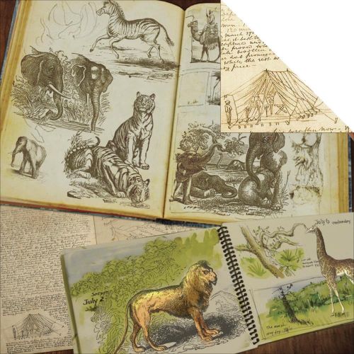 7 Gypsies - Serengeti Collection - 12 x 12 Paper - Wanyama (Animals)