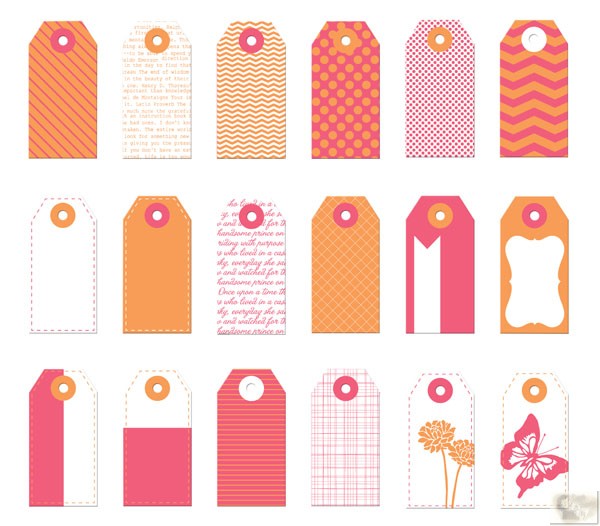 Prima Marketing Inc. Mini Tag/Paper Orange- Pink