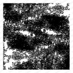 Impression Obsession - Cover-A-Card - Cling Mount Rubber Stamp - Dist. Denim