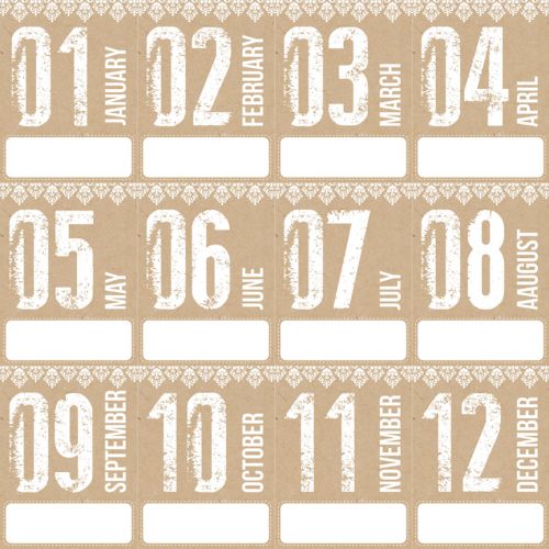 Teresa Collins Designs - Hello My Name Is-  Months - 12 x 12 Double Sided Patterned Paper