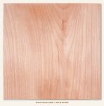 My Mind's Eye - Necessities - Wood Veneer