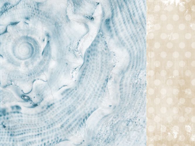 Kaisercraft - Beach Shack Collection - Mother of Pearl