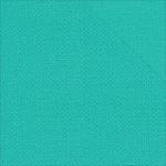 Simple Stories - We Are Family - Double-Sided Cardstock 12"X12" - Teal Calico/Linen