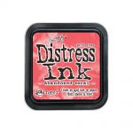 Tim Holtz Distress Ink Pad by Ranger - Abandoned Coral