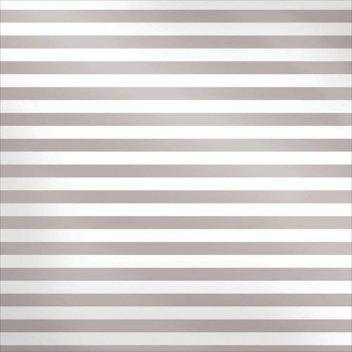 We R Memory Keepers - Sheer Metallic Vellum 12"X12" - Silver Stripe