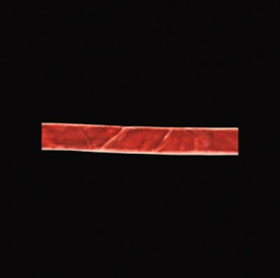 Maya Road - Crushed Velvet - Orange