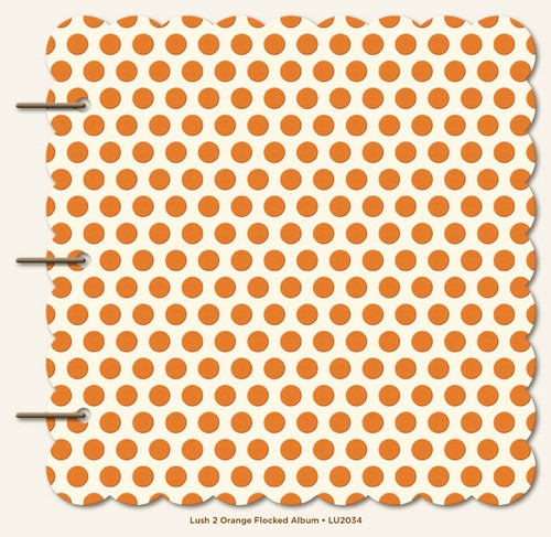 My Minds Eye - Lush Orange Album