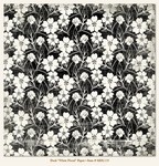 My Minds Eye - Meadowlark - Dusk - "White Floral" Paper