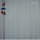 Rasberry - Squashed - On The Move