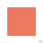We R Memory Keepers - Anthologie - Textured Cardstock - Salmon